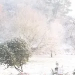 Chateau Du Deffay Bed and breakfast