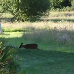 Chateau Du Deffay Bed and breakfast Sainte-Reine-de-Bretagne