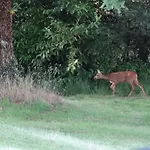 Chateau Du Deffay Bed and breakfast
