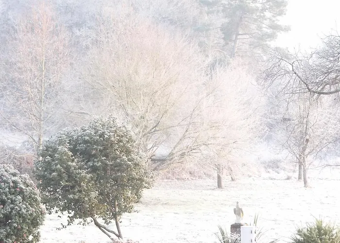 Chateau Du Deffay Bed and breakfast