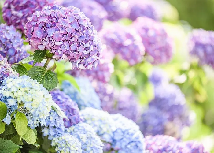 Chateau Du Deffay Bed and breakfast 3*