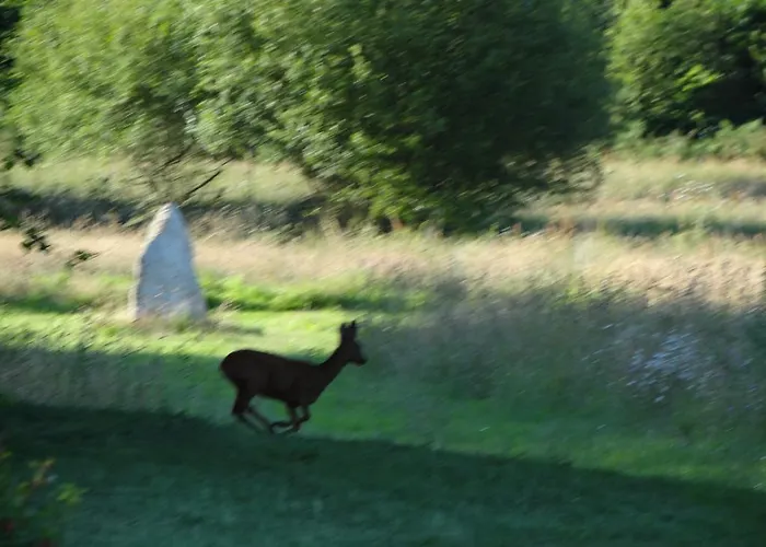 Bed and breakfast Chateau Du Deffay 3*