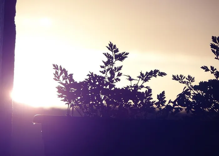 Bed and breakfast Chateau Du Deffay Sainte-Reine-de-Bretagne