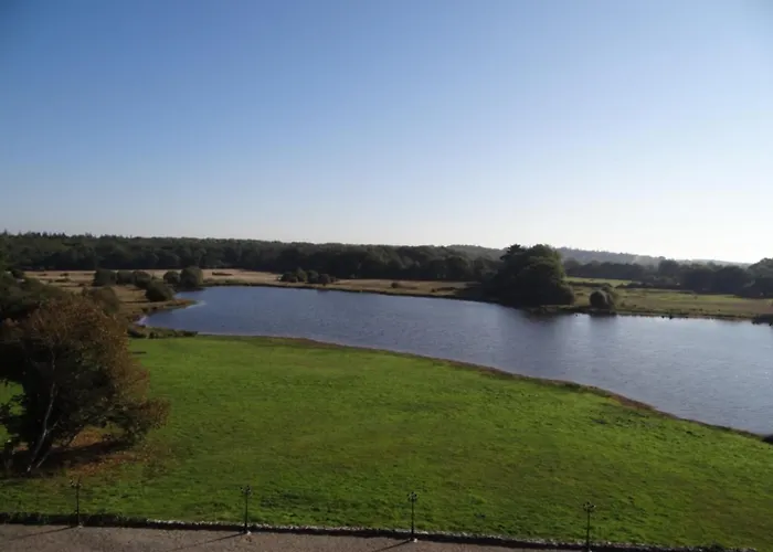 Bed and breakfast Chateau Du Deffay 3*