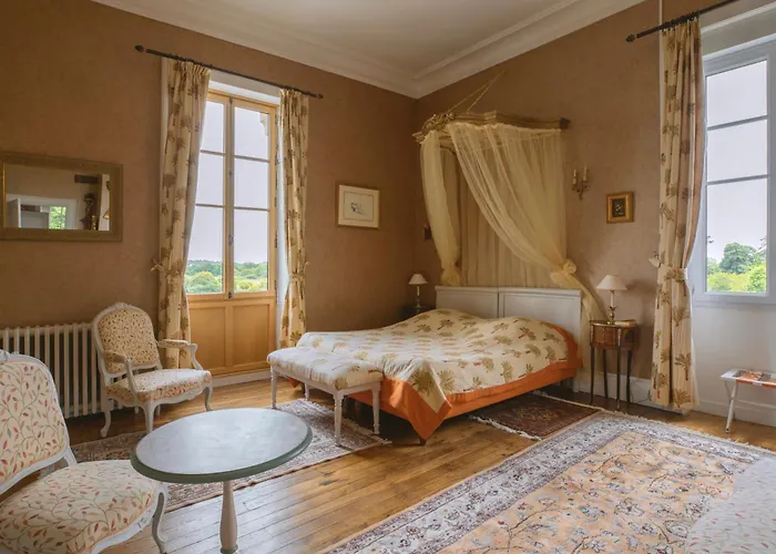 Chateau Du Deffay Bed and breakfast