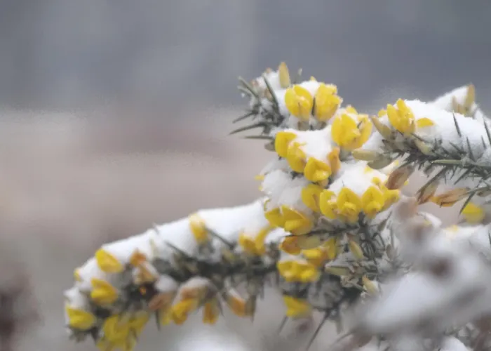 Bed and breakfast Chateau Du Deffay 3*