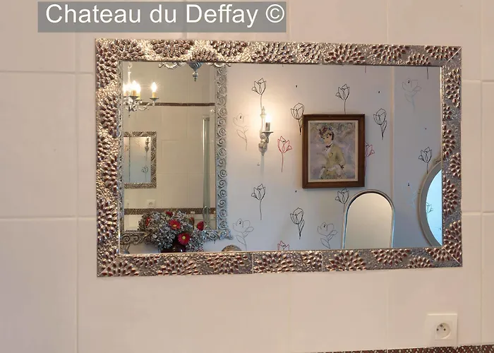Chateau Du Deffay Bed and breakfast 3*